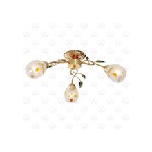 Люстра потолочная MW-Light Фиеста 267011503
