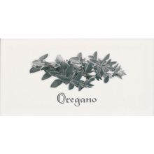 Керамическая плитка Ape Biselado Decor Oregano Blanco декор 10х20