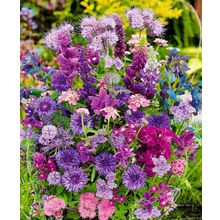 Набор Оттенки голубого