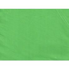 Простыня на резинке 200 на 200 сатиновая 269-204 Зеленый бутон