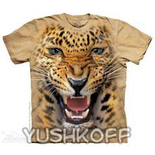 Mountain Angry Leopard