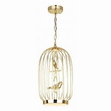 Favourite Chick 1928-2P