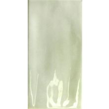 Tonalite Nature Sage 10x20 см