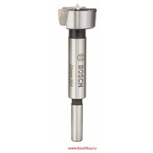 Bosch Сверло Форстнера DIN 7483 G 25x90 мм DIY (2609255287 , 2.609.255.287)