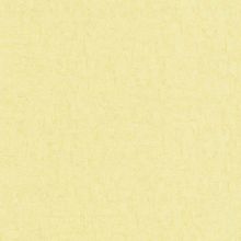 BN International Van Gogh 2 220078 220078