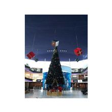 Ель высотная Royal Christmas Giant Trees (510 см)