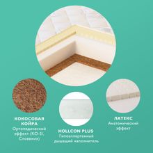 Plitex EcoLife 60x120