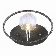 Favourite Lick 1903-1W