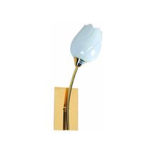 ARTE LAMP  Бра Tulip A8292AP-1PB