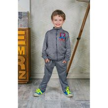 SweetBerry Брюки трикотажные для мальчиков 206357