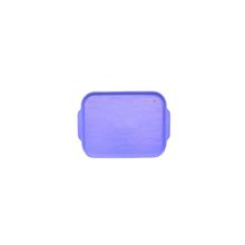 Поднос пласт.450х355 голубой[1730]