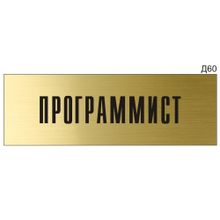 Информационная табличка «Программист» на дверь прямоугольная Д60 (300х100 мм)