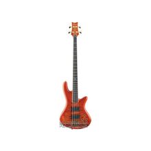 SCHECTER Stiletto Elite-4 GRY