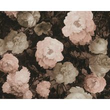 AS Creation History of Art 37650 4 37650 4