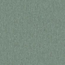 BN 220115 Обои BN (Panthera) (1*12) 10,05x0,53 винил на флизелине