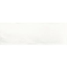 Baldocer Blanco Domed Mate 20x60 см