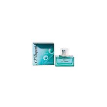 Dupont Dupont passenger pour homme 100 мл