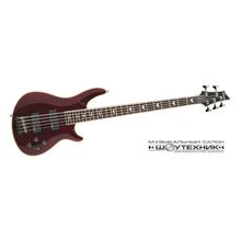 SCHECTER Omen Extreme-5 BCH