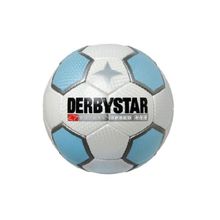 Derbystar Мяч футзальный Derbystar Futsal Speed FL450 (размер 4)