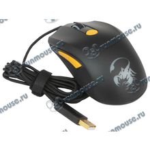 Лазерная мышь Genius "Scorpion M8-610", 5кн.+скр., черно-оранжевый (USB) (ret) [137922]
