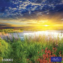Фреска Applico 450001