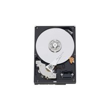 Western Digital Caviar Green [WD10EARX]