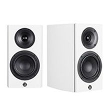 System Audio SA Legend 5 Silverback