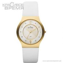 Skagen SKW2027