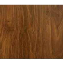 Дуб немецкий