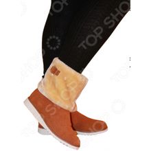 EGO Шотландия