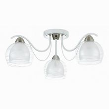 Freya Nikki FR5052-CL-03-W