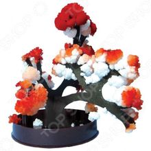 Ранок «Японский сад кристаллов. Японский клен»