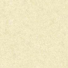 Обои Grandeco (Россия) A33703