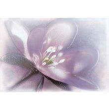 Керамическая плитка Уралкерамика Лила ВС7ЛЛ023 декор 24,9х36,4