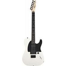 JIM ROOT TELECASTER WHT