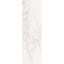 Плитка настенная Argenta Crystal White 250х600