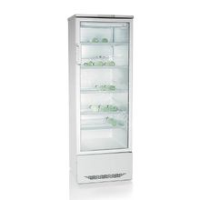 Шкаф холодильный витринного типа БИРЮСА 310Е