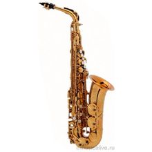 SELMER SELMER ALTO-REFERENCE-DGG