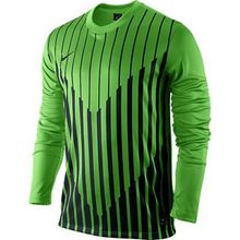 Майка Игровая Nike Ls Precision Gd Jsy 413136-304