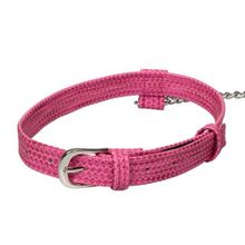 Розовый ошейник с поводком Tickle Me Pink Collar With Leash (163114)