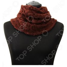 Bona Ventura H-RV.12