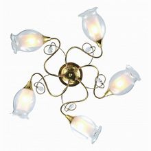 Arte Lamp Mughetto A9289PL-5GO