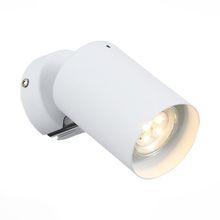 Светильник настенно-потолочный ST LUCE FANALE SL597.501.01