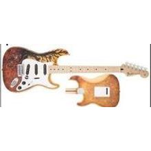 SPECIAL EDITION DAVID LOZEAU ART STRATOCASTER