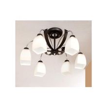 CITILUX  Люстра потолочная Крокус Citilux CL128161