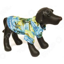 DEZZIE «Бадди»