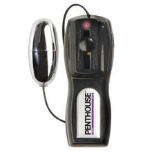 Topco Sales Вагина и анус с вибрацией Vibrating CyberSkin Pet Pussy   Ass (телесный)