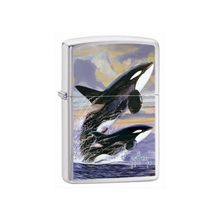 Zippo Zippo ZI 24305 GH KILLER WHALES