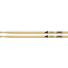 TAYLOR HAWKINS ARTIST SERIES
