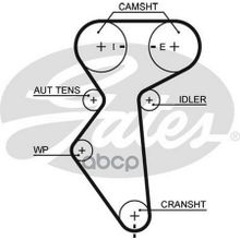 Ремень Грм Daewoo Lanos 1.6 16v 97-, Nexia 1.5 16v 95-97, Nubira 1.6 16v 97- Gates арт. 5419XS